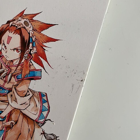 Shaman king
