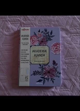Mor Akademik Ajanda