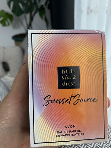 Litlle Black Dress Sunset Soiree