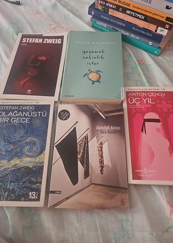 Çeşitli Yazarların 8 Roman Kitabı - Görsel 7