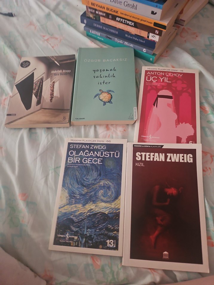 Çeşitli Yazarların 8 Roman Kitabı - Görsel 5