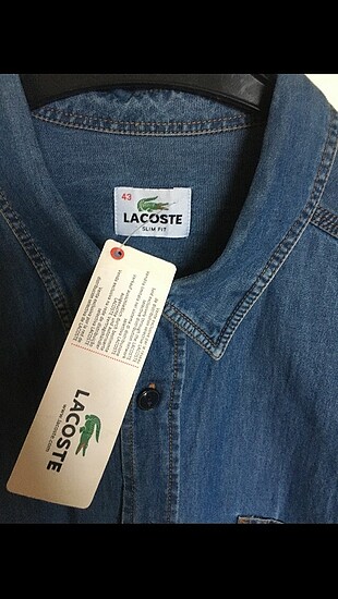 Lacoste Lacoste gönlek
