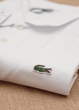 m Beden Erkek Polo Yaka Tshirt 