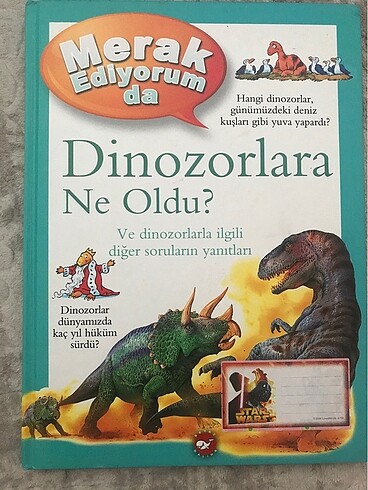 Beden Renk Çocuk kitabı