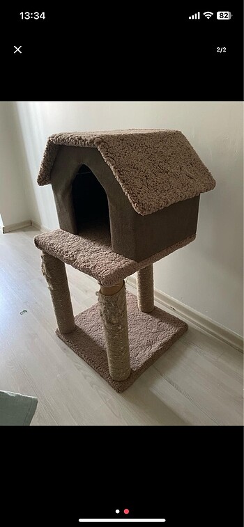 Kedi evi