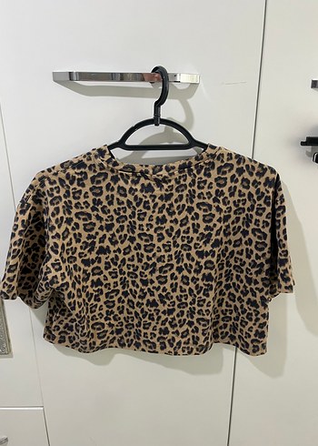 Zara Leopar Desenli Kısa Kollu Crop Top