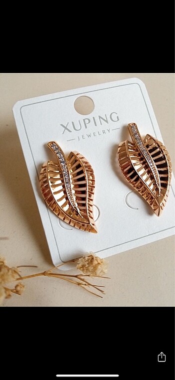 XUPİNG KARARMAZ ÇELİK KÜPE