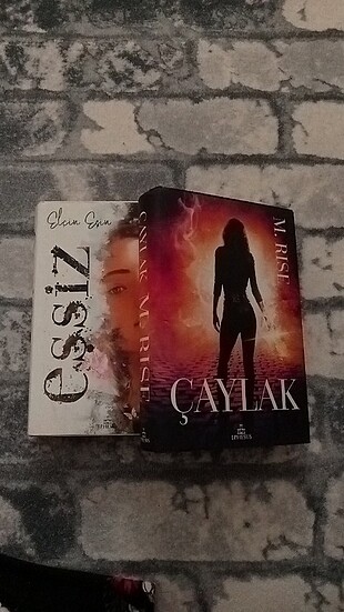 Çaylak