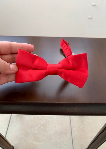 Tudors Papyon - Görsel 2