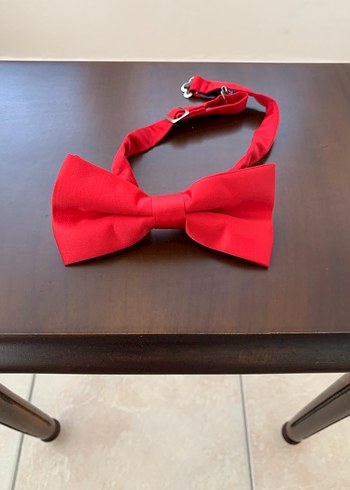 Tudors Papyon - Görsel 6