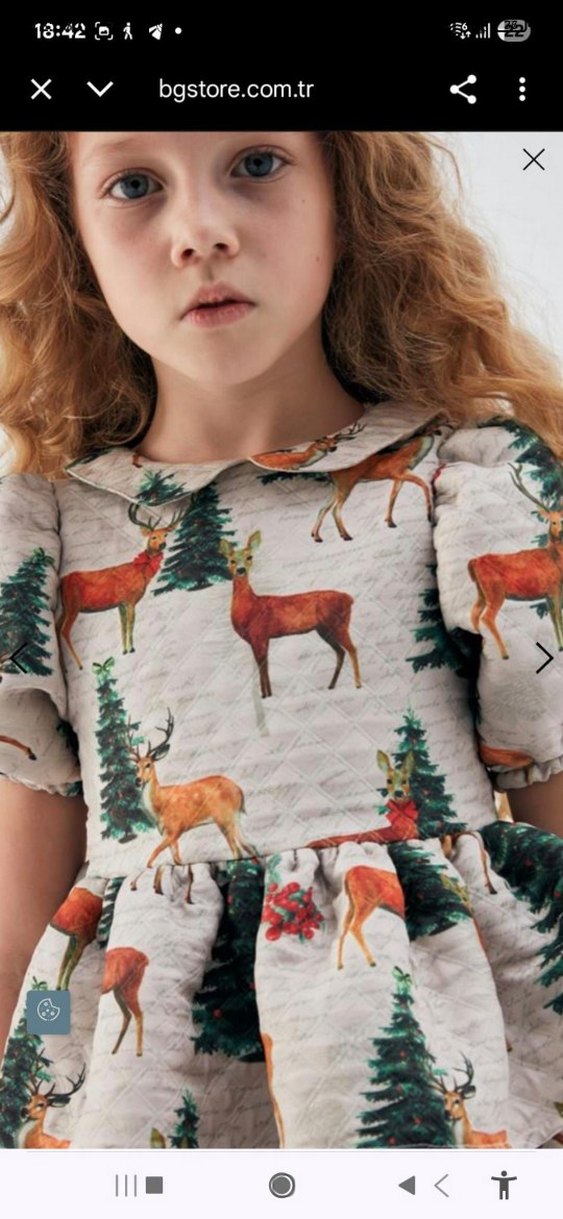 B&G Bej Baskılı Kız Çocuk Elbise - Görsel 2