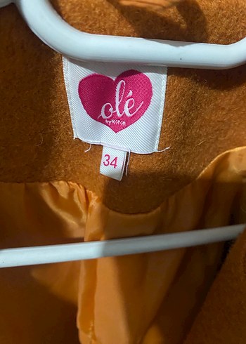 Kalın Kaban - Görsel 3