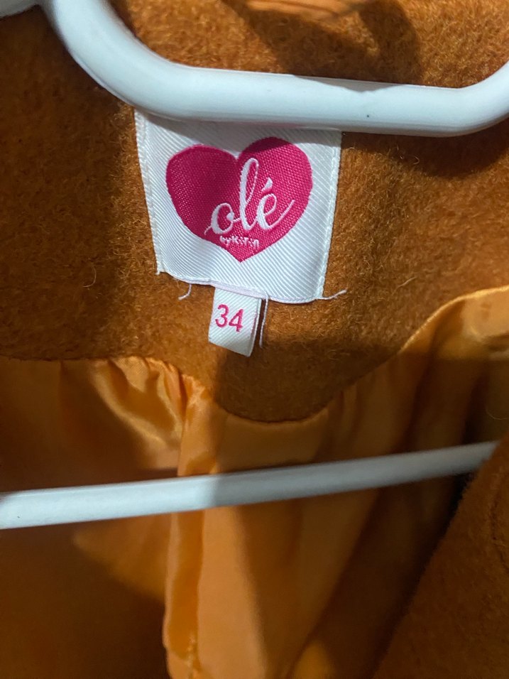 Kalın Kaban - Görsel 3