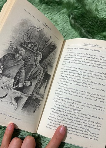 Brat Farrar - Josephine Tey - Görsel 3