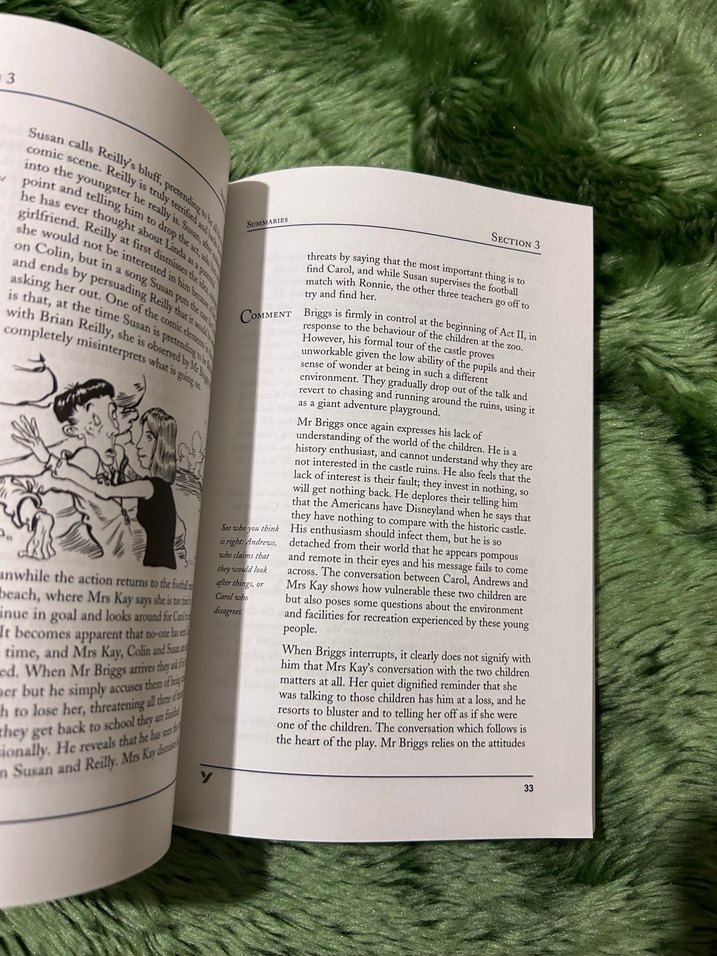 Our Day Out - Willy Russell (York Notes) - Görsel 3