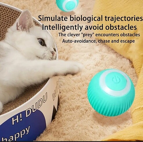 Beden Smart kedi oyun topu