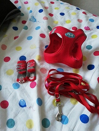 Pet set 