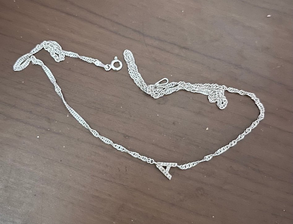 925Ayar Singapur Zincir Harfli Köprücük Kolye - Görsel 3