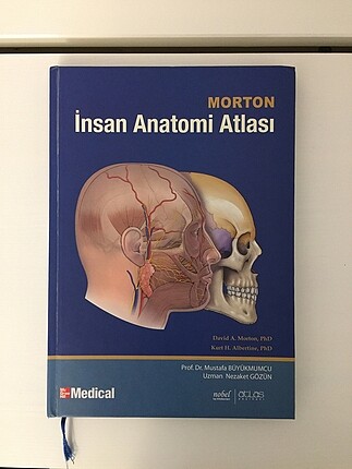 Morton insan anatomi atlası