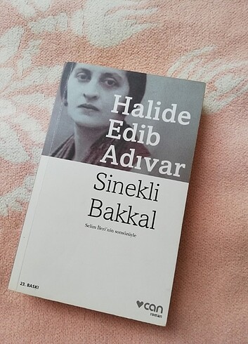 Sinekli bakkal romanı 