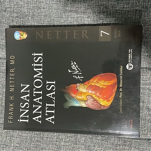  Beden Netter insan anatomisi atlası