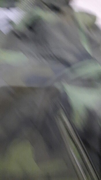 Erkek cocuk GAP yagmurluk - Görsel 6