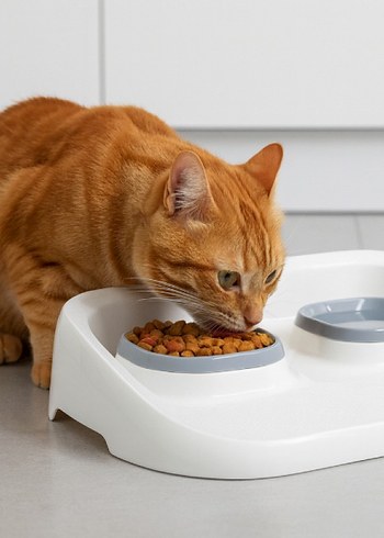 Çift Bölmeli Kedi Mama Kabı - Görsel 2