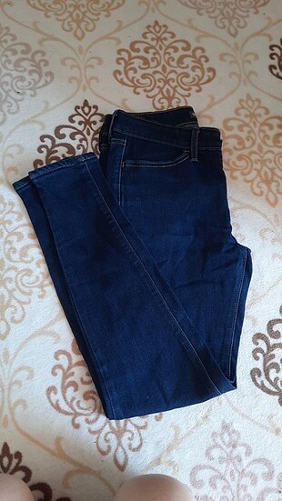 Kot Jean 