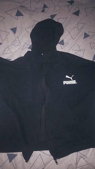 puma hırka
