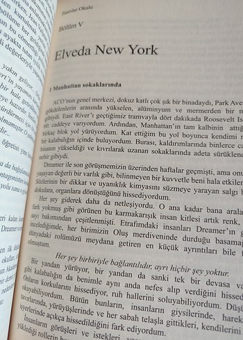  Beden Renk Tanrılar Okulu - Stefano D'Anna Kitap