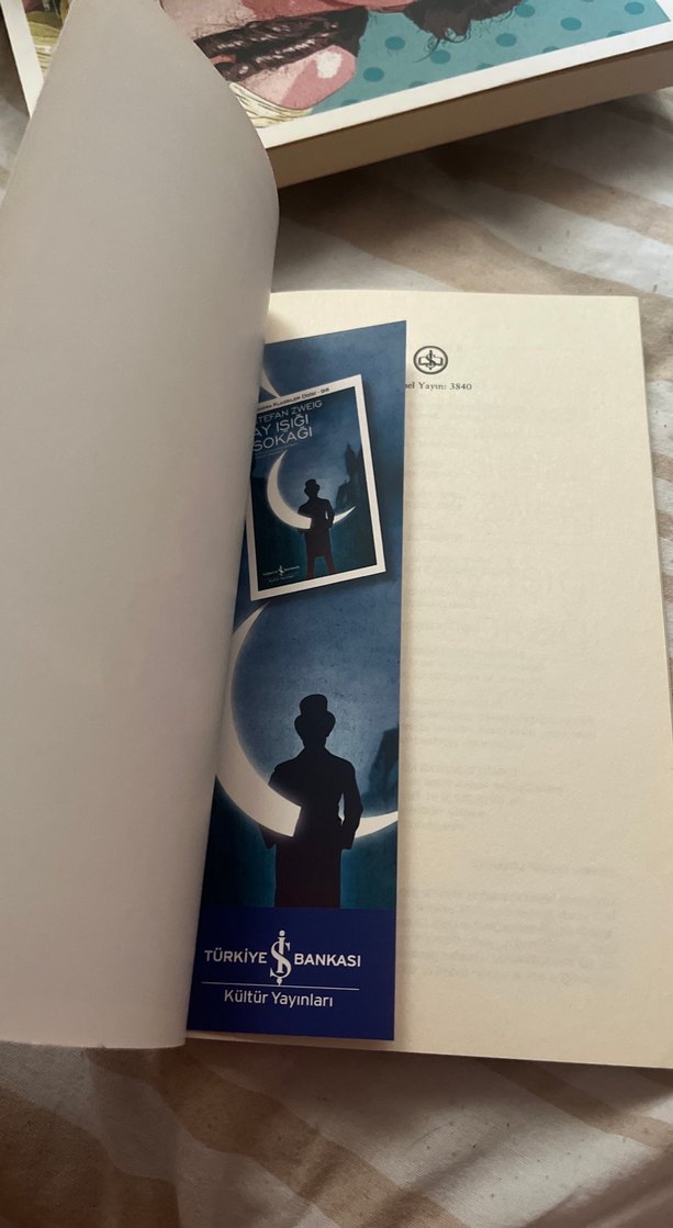 Ay Işığı Sokağı - Stefan Zweig - Görsel 2