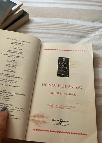  Beden Vadideki Zambak - Honoré de Balzac
