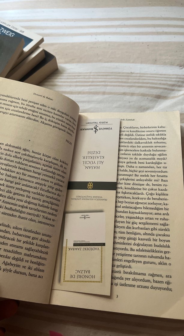 Vadideki Zambak - Honoré de Balzac - Görsel 4