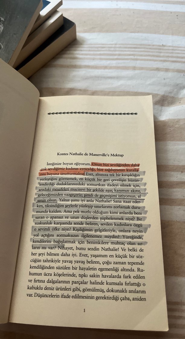 Vadideki Zambak - Honoré de Balzac - Görsel 5