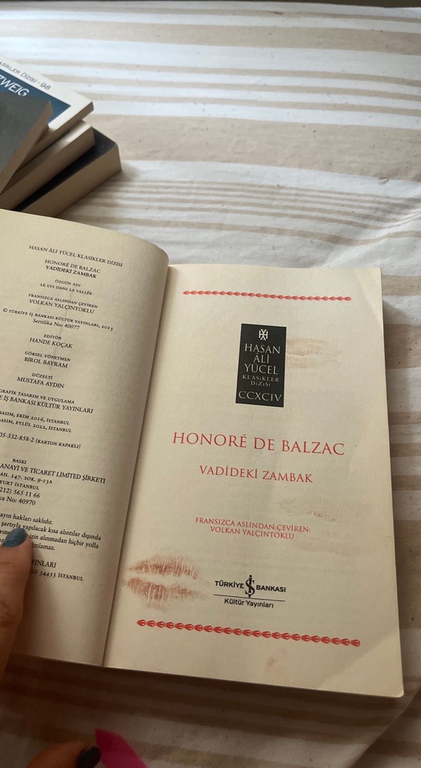 Vadideki Zambak - Honoré de Balzac - Görsel 3