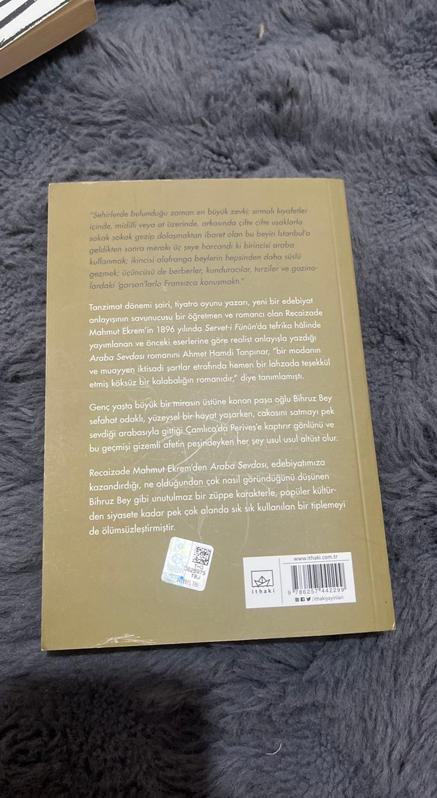 Araba Sevdası - Recaizade Mahmut Ekrem - Görsel 2