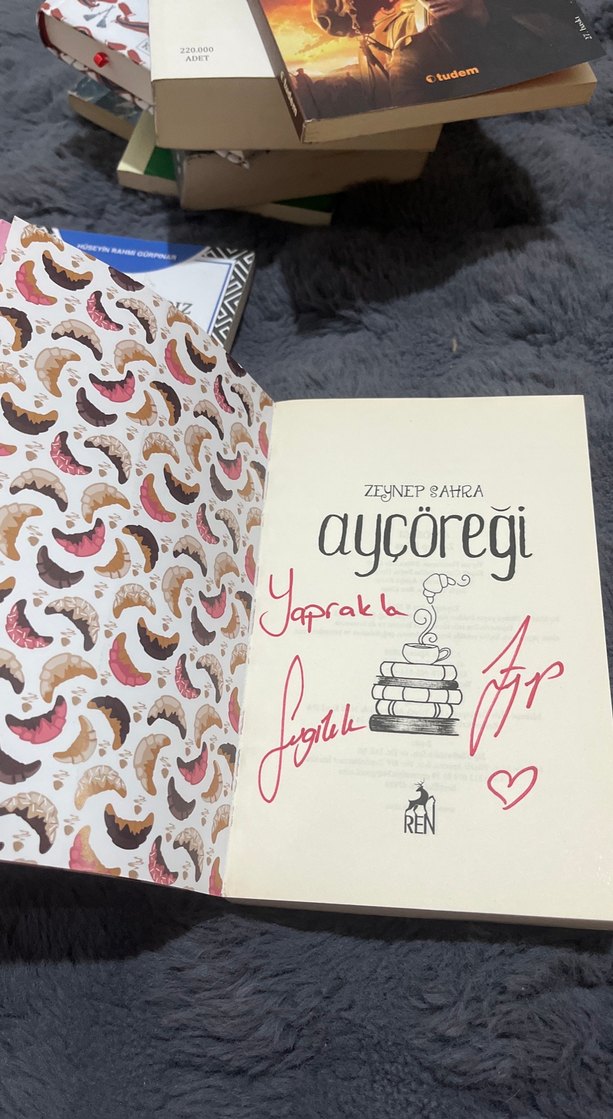 Ayçöreği - Zeynep Sahra - Görsel 2