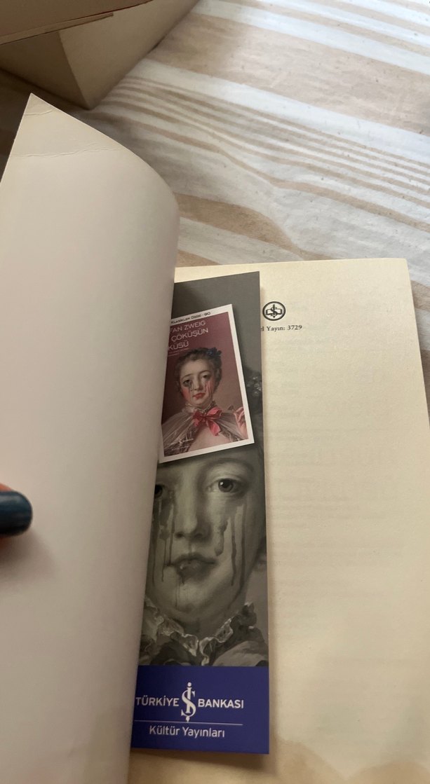 Bir Çöküşün Öyküsü - Stefan Zweig - Görsel 3