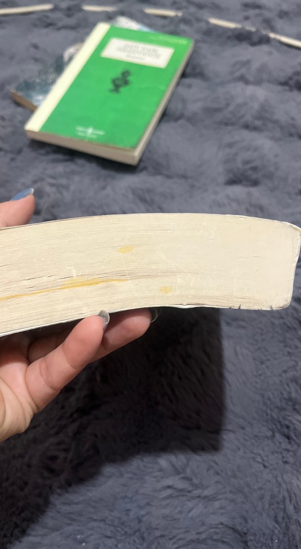 Monte Kristo Kontu - Alexandre Dumas - Görsel 3