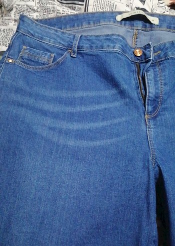 Kot kaprı - Görsel 2