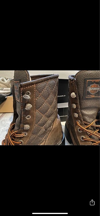 38 Beden Harley davidson bot