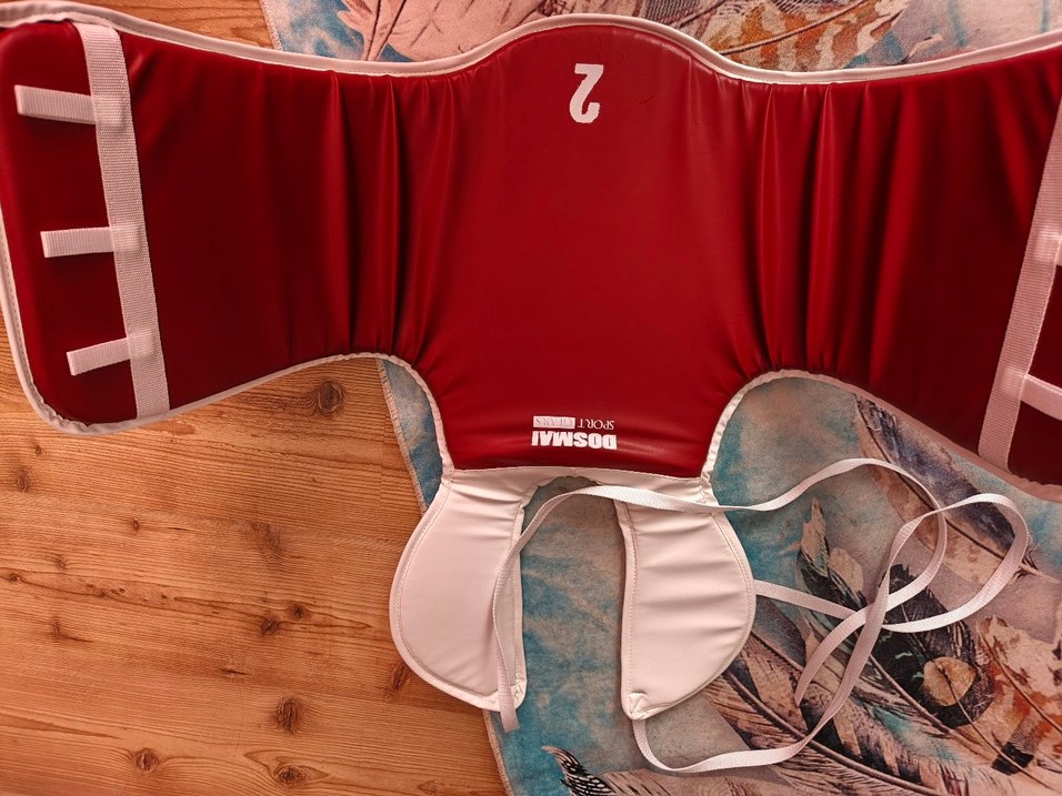 tekvando sevkantı - Görsel 2