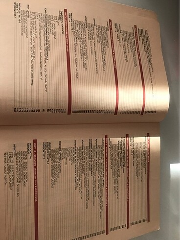  Beden Ydspublising grammar book