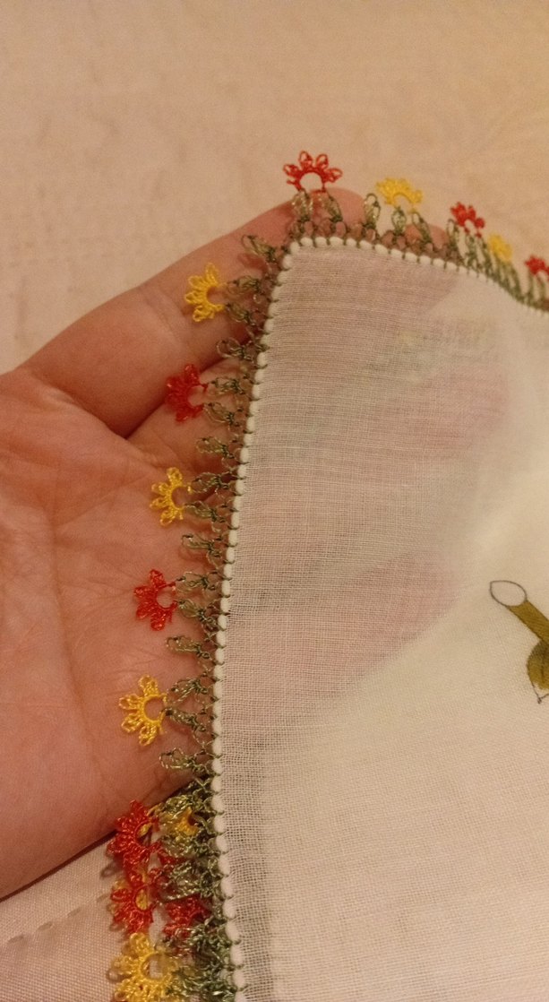 Çiçek Desenli Dantel Kenarlı Kadın Fuları - Görsel 2