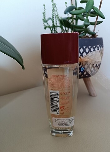 Beyonce Parfüm - Görsel 2