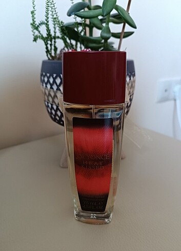 Beyonce Parfüm - Görsel 3