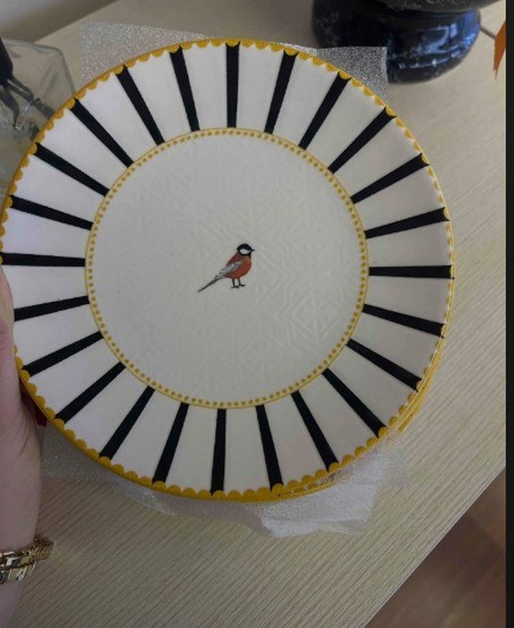 Modern Klasik Zebra Desenli Beyaz Tabak Seti - Görsel 2