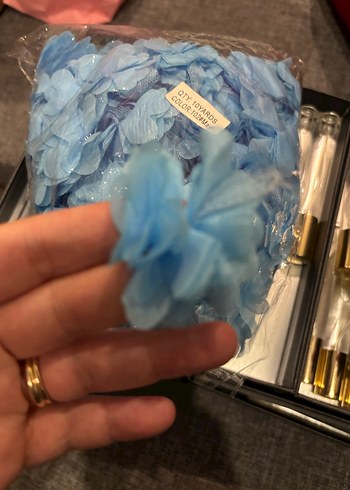 Altın Renkli Dönen Atlı Karınca hediyelik 36 adet kutulu - Görsel 5