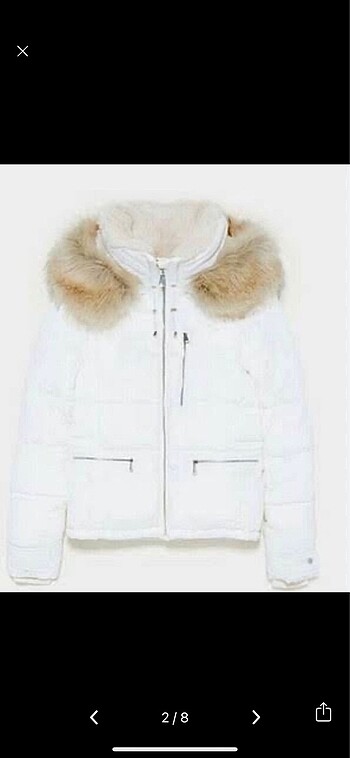 Zara Zara ekru mont
