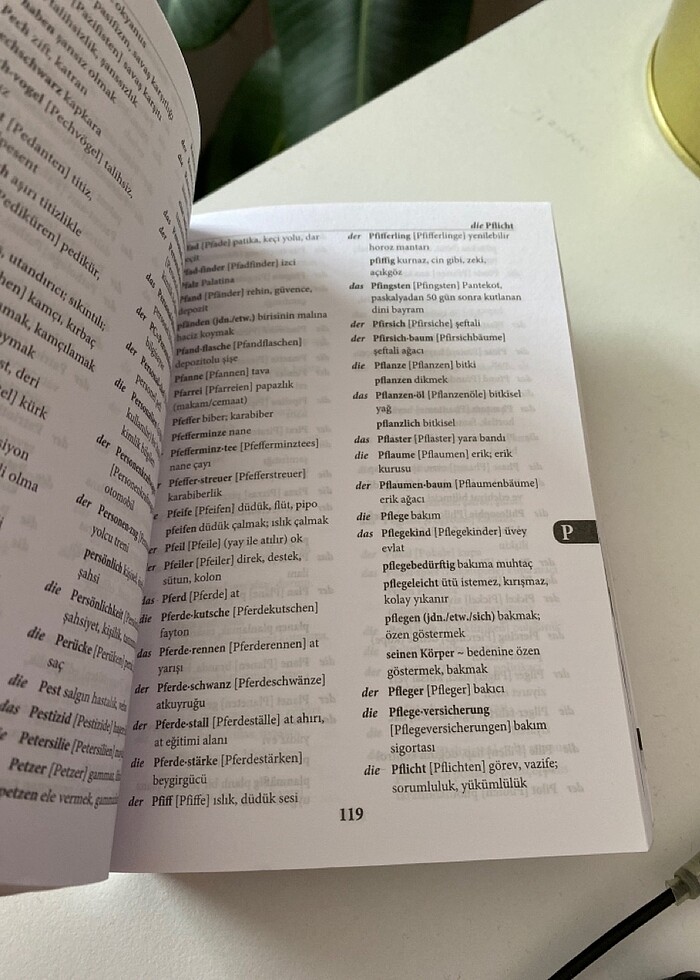 Almanca Sözlük Deutsch mit spring - Görsel 4